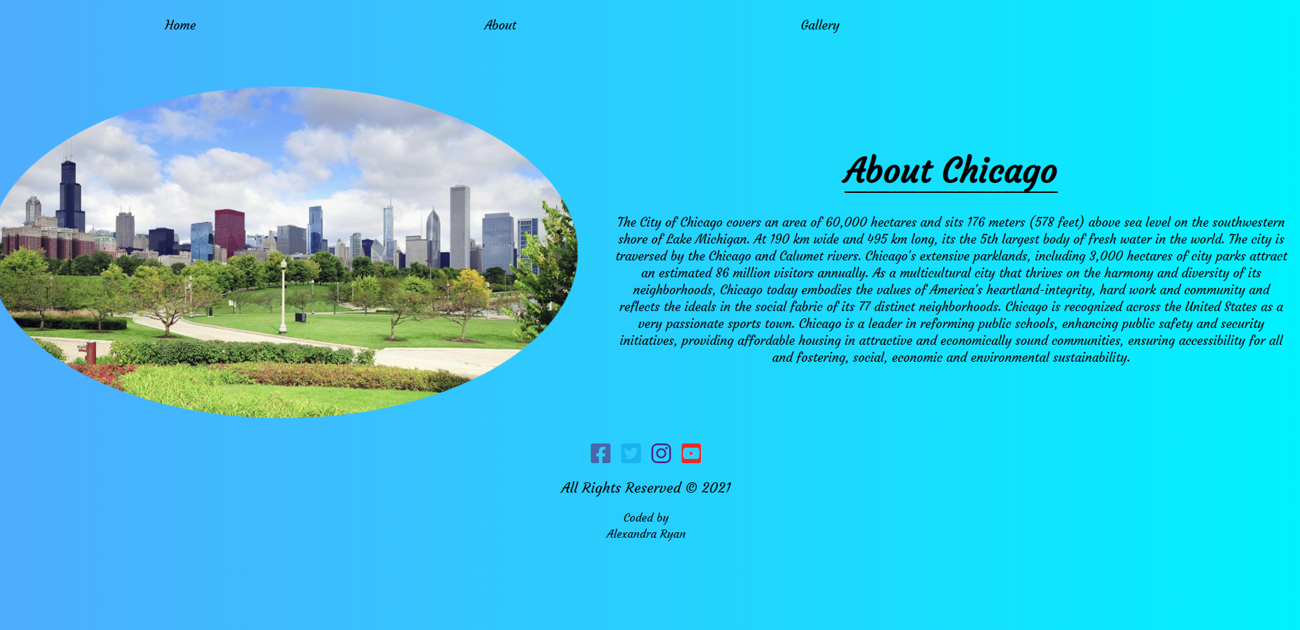 Chicago Website preview